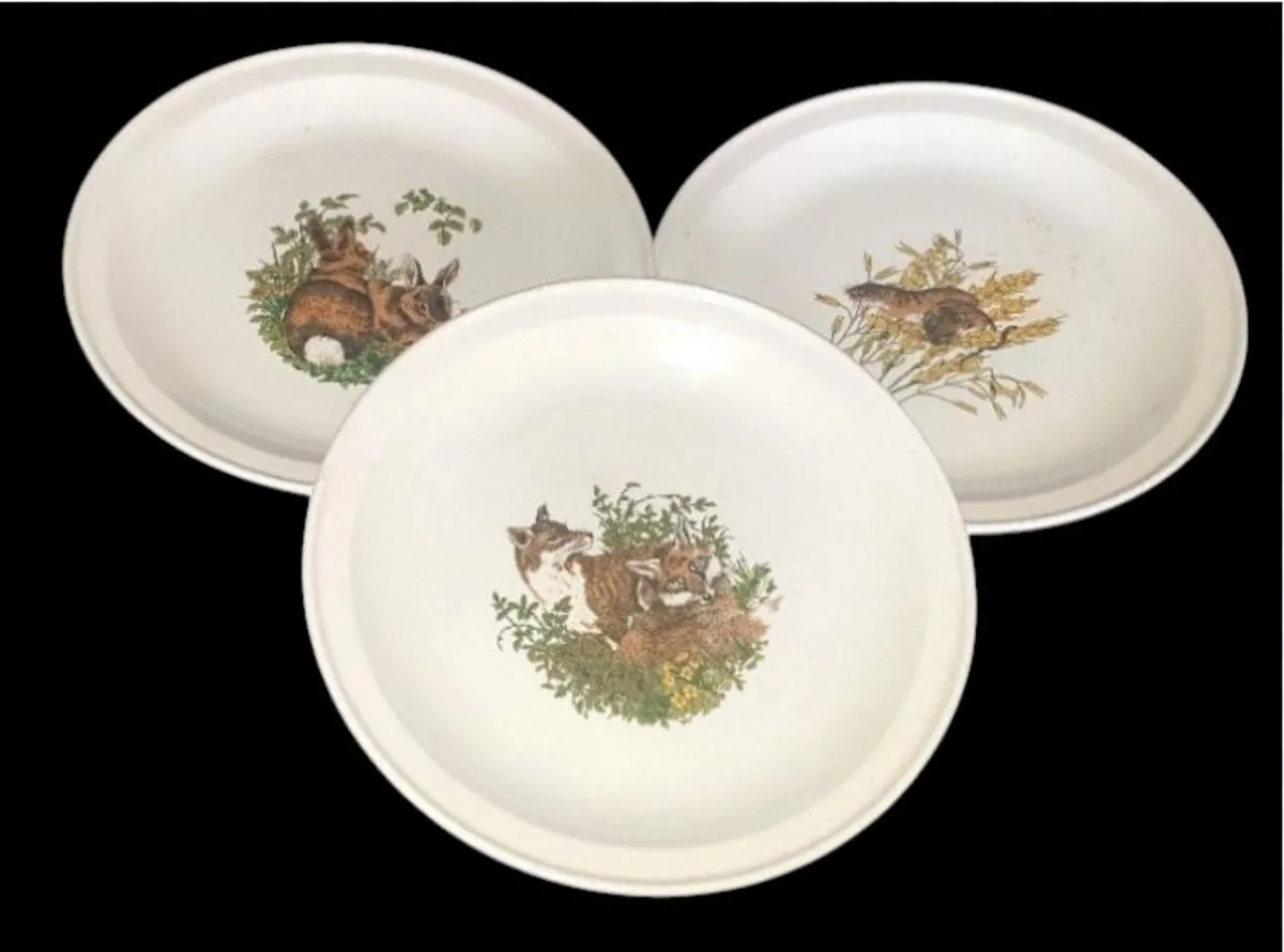Trio Vintage Carrigdhoun Pottery Wildlife Plates - Image 4