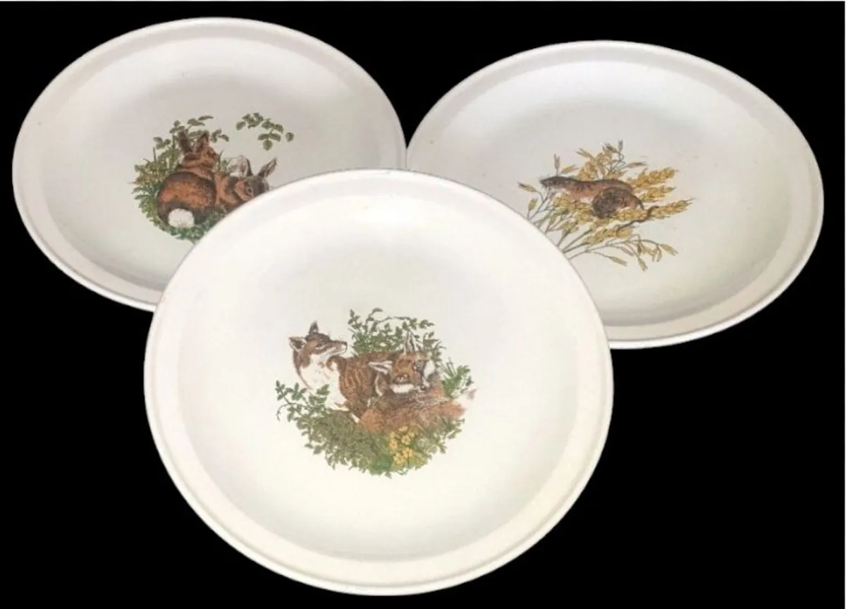 Trio Vintage Carrigdhoun Pottery Wildlife Plates - Image 2