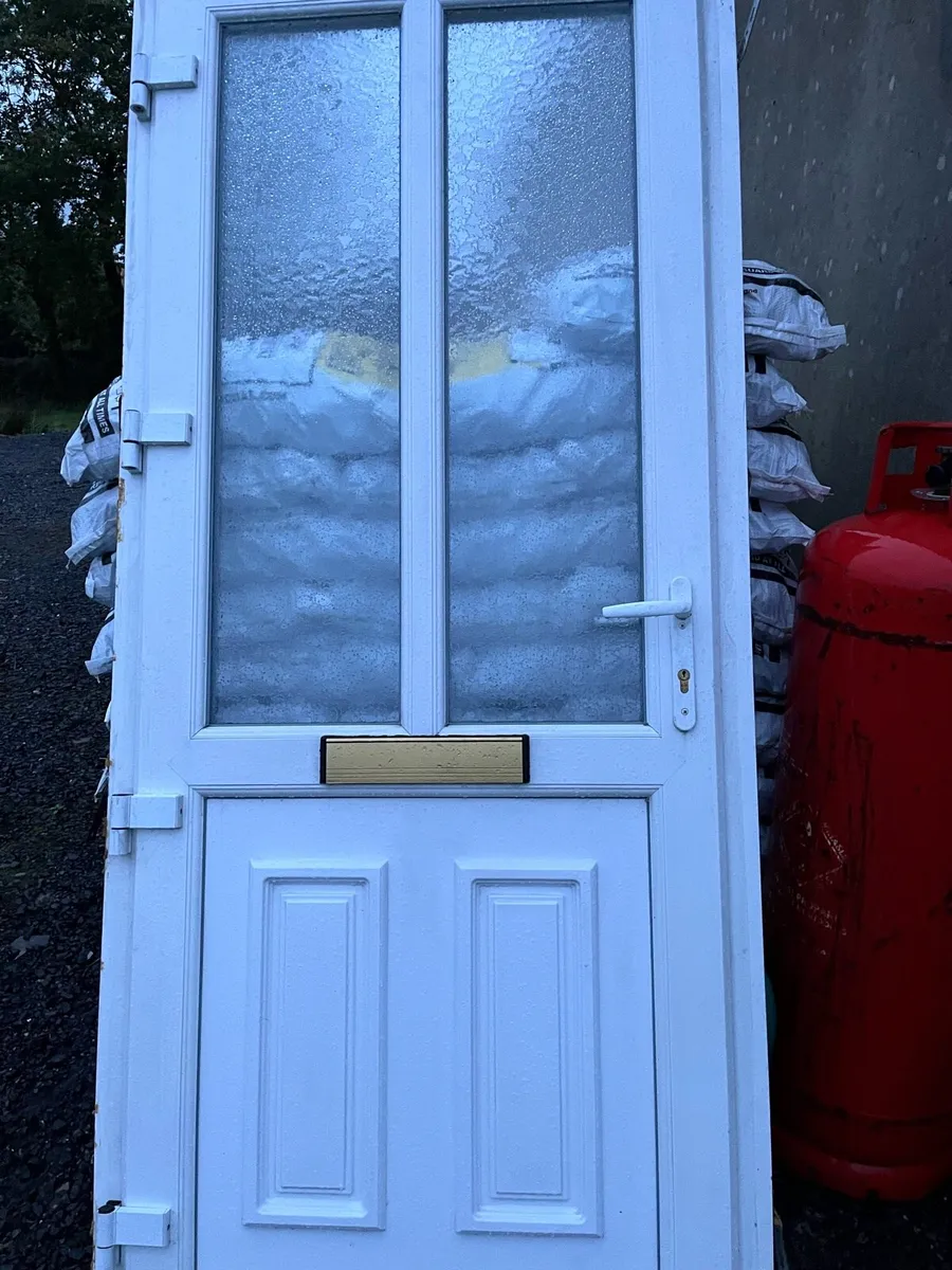 PVC door - Image 1