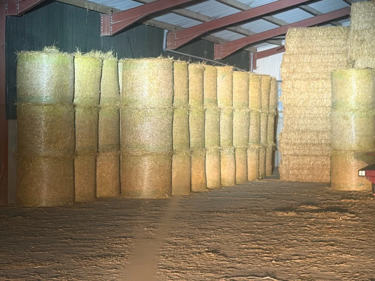 Pre-Chopped Barley & Wheaten Straw - Image 4