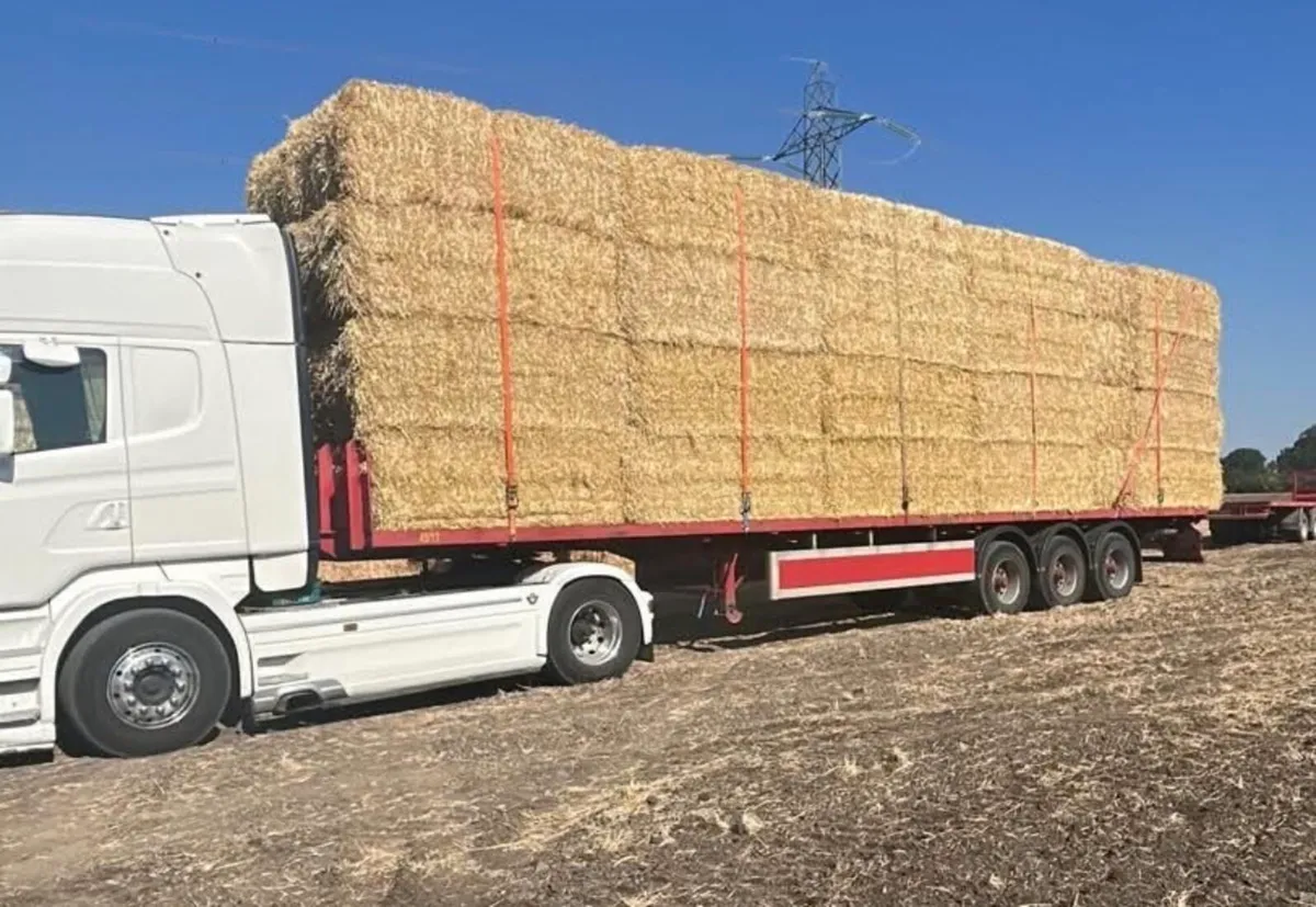 Pre-Chopped Barley & Wheaten Straw - Image 1