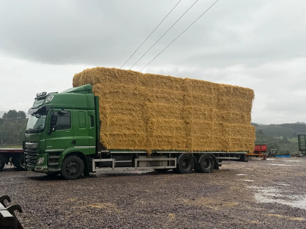 Pre-Chopped Barley & Wheaten Straw - Image 2