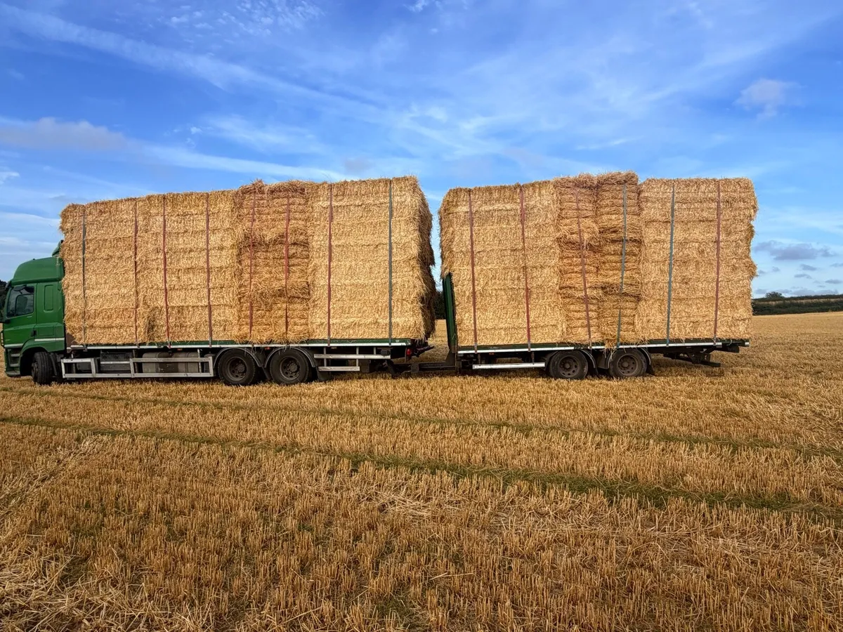 Pre-Chopped Barley & Wheaten Straw - Image 3