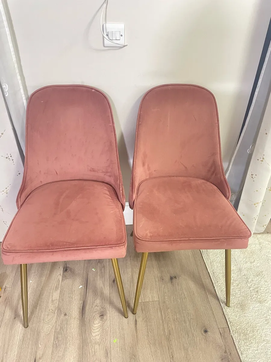 Blush pink chairs - Image 1