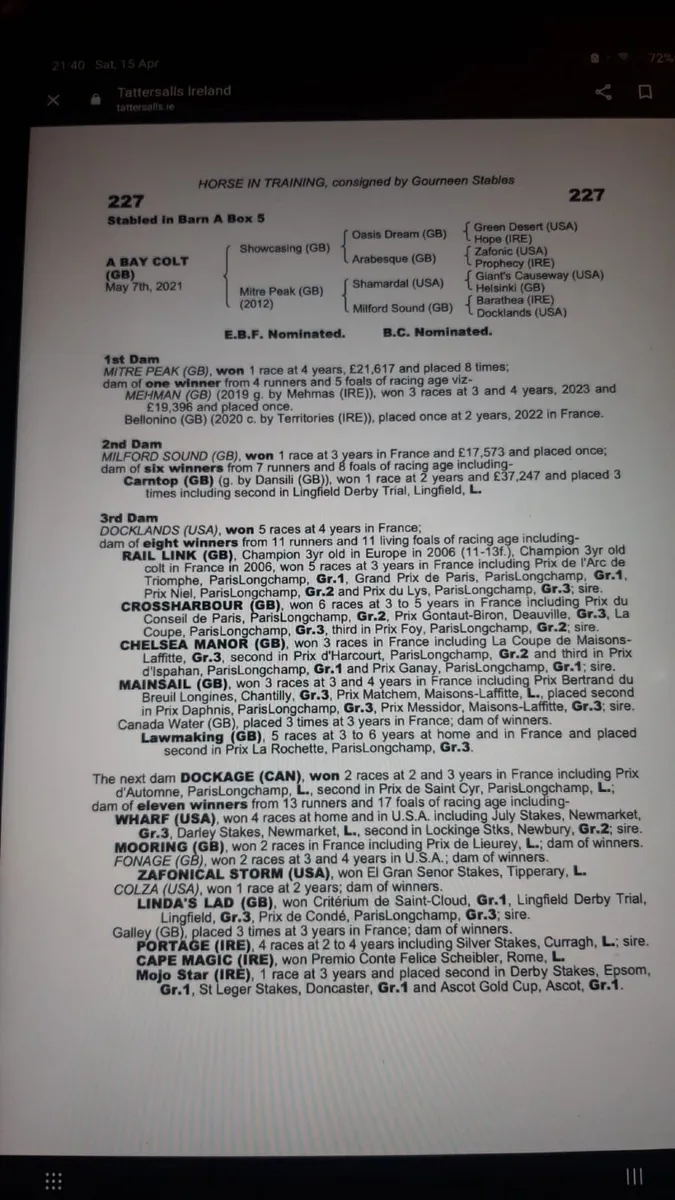 Winning Shamardal Mare