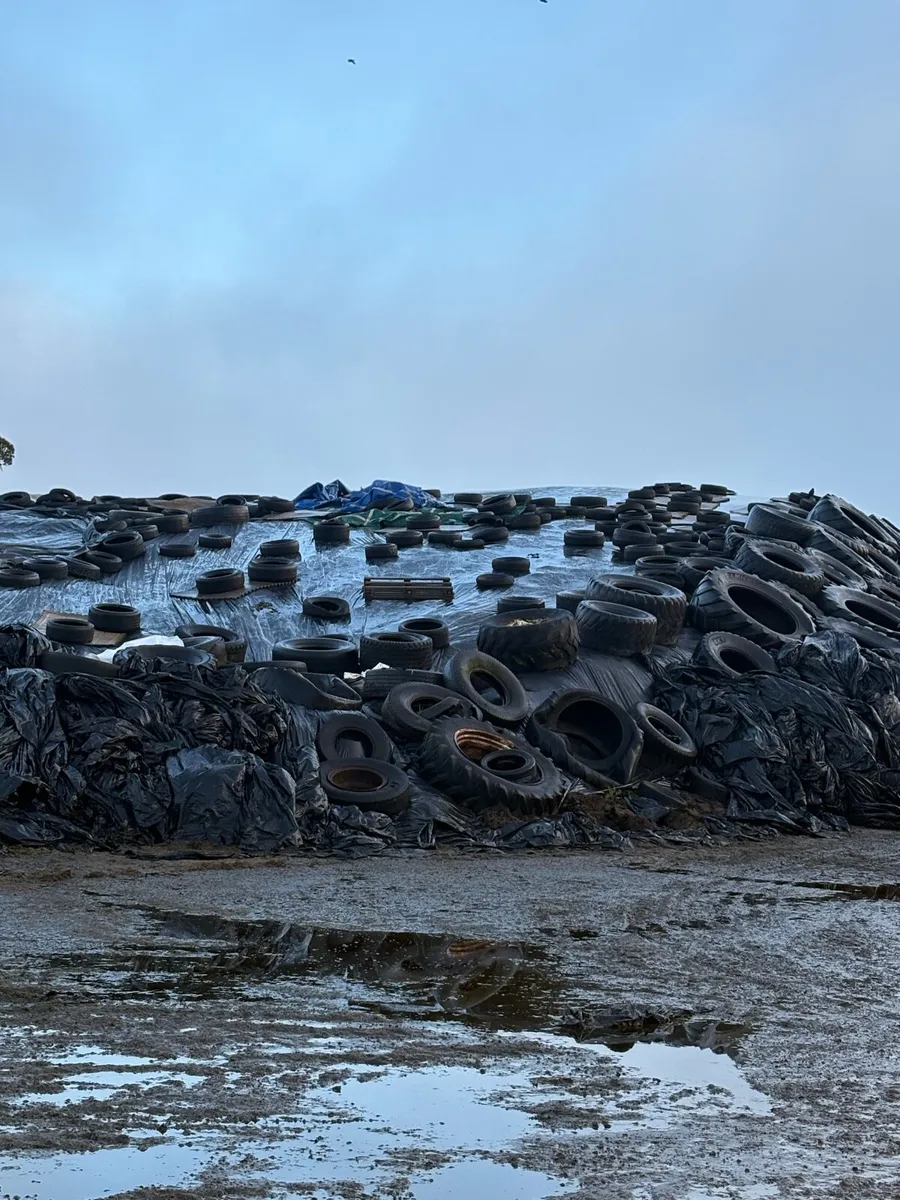 Pit Silage