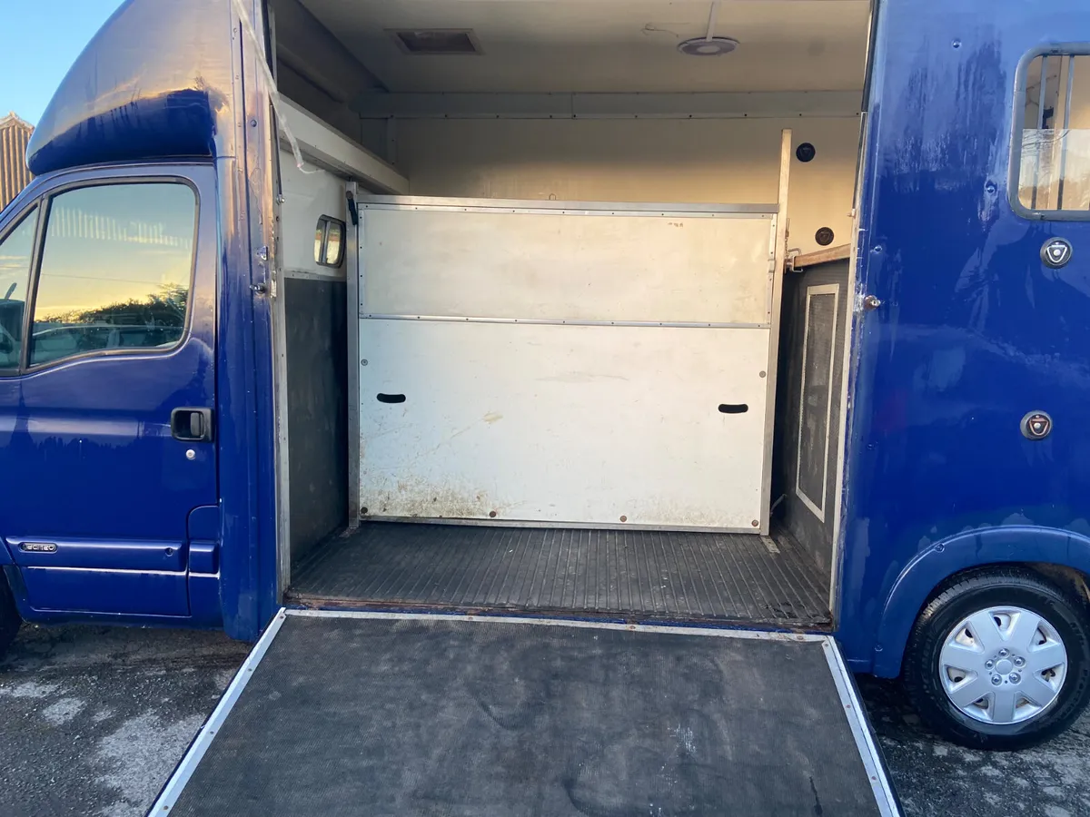 06 Renault master horse lorry - Image 3