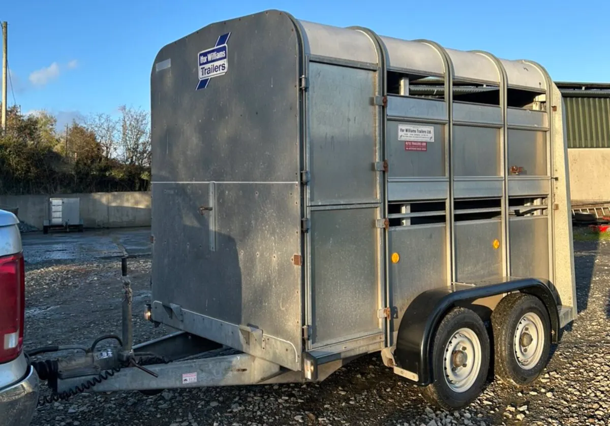 8X5 Ifor Williams Livestock Trailer - Image 1