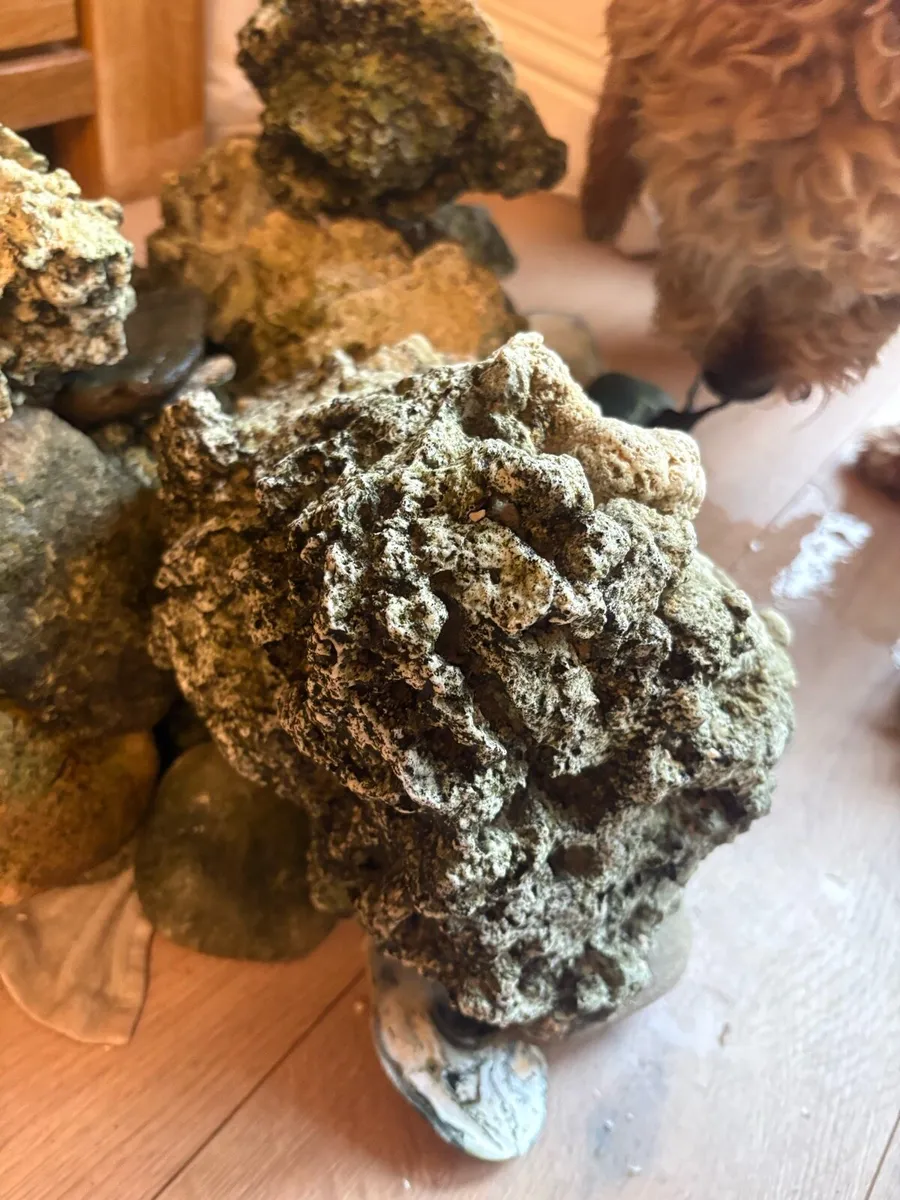 Rocks for fish tank - Image 2