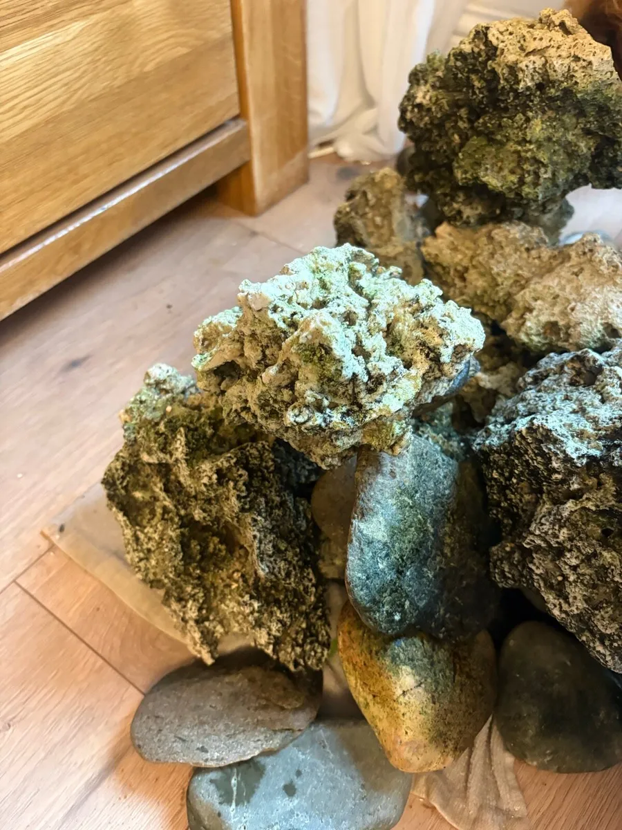 Rocks for fish tank - Image 3