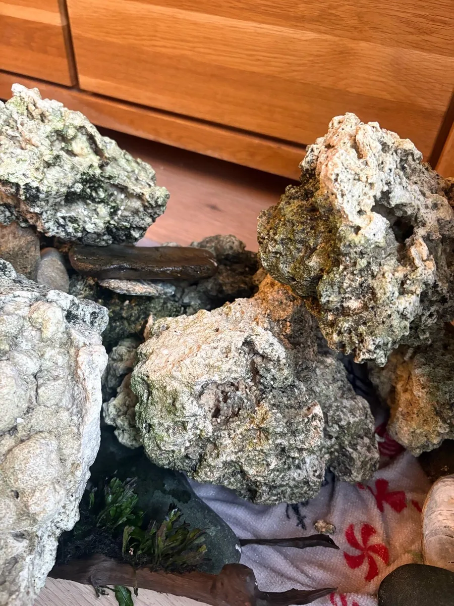 Rocks for fish tank - Image 4
