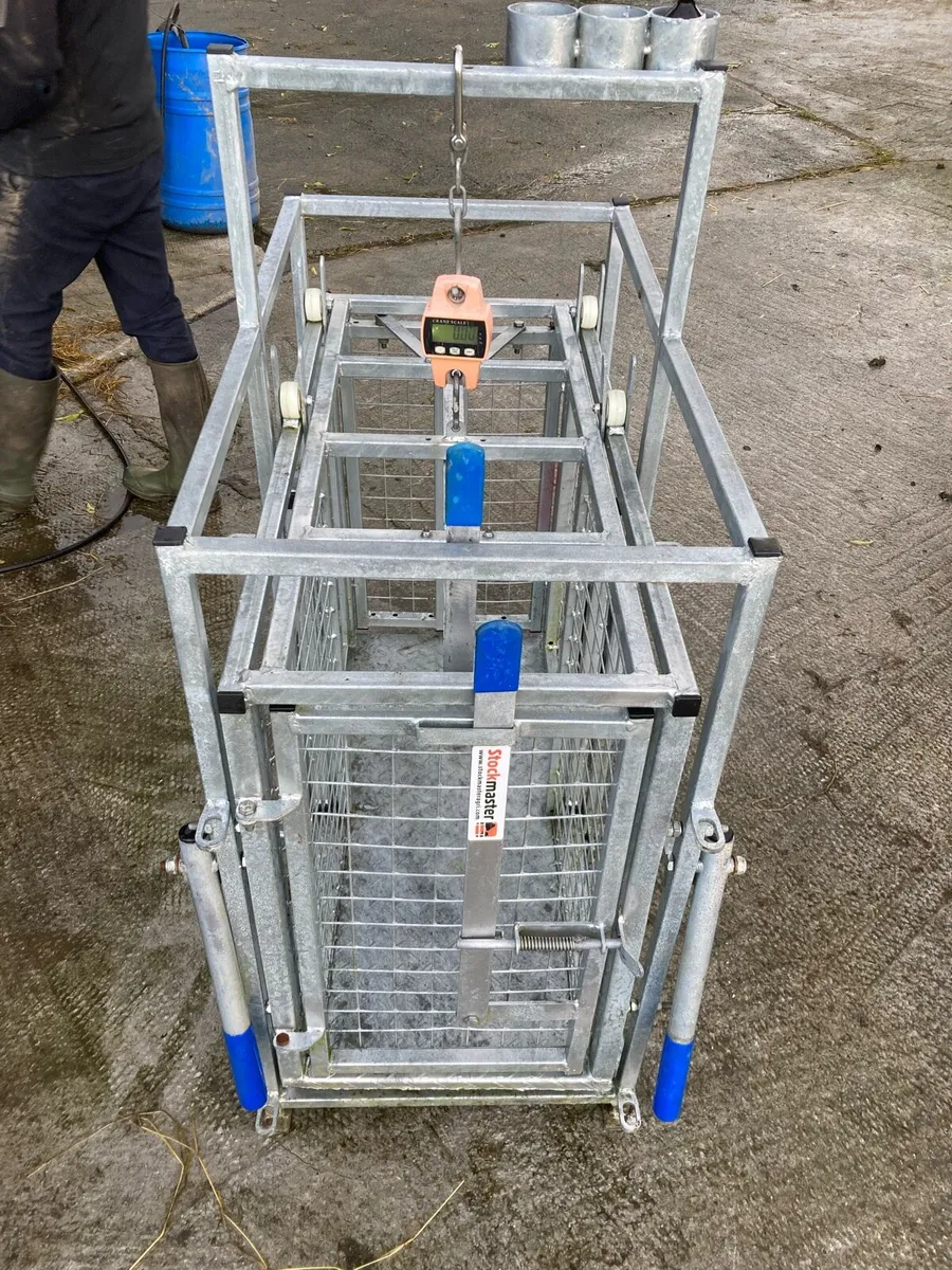 Weighing scales and creep feeder - Image 1