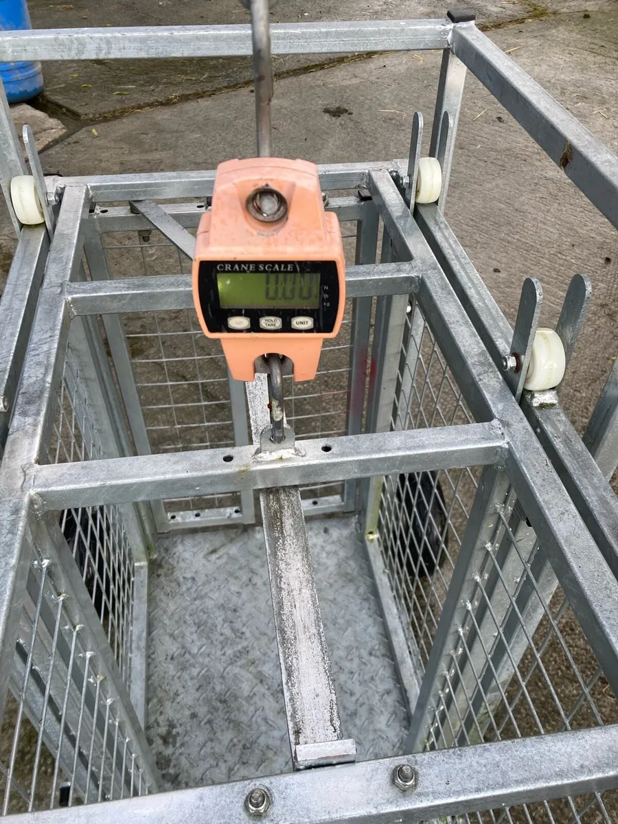 Weighing scales and creep feeder - Image 2