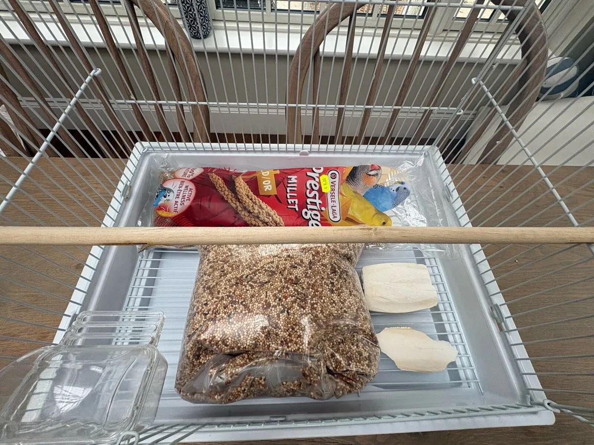 Bird cage - Image 2