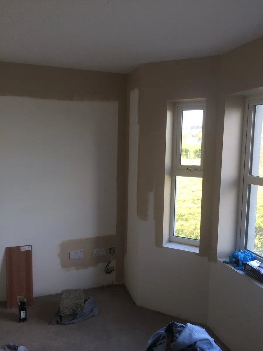 Painter Available - Image 2