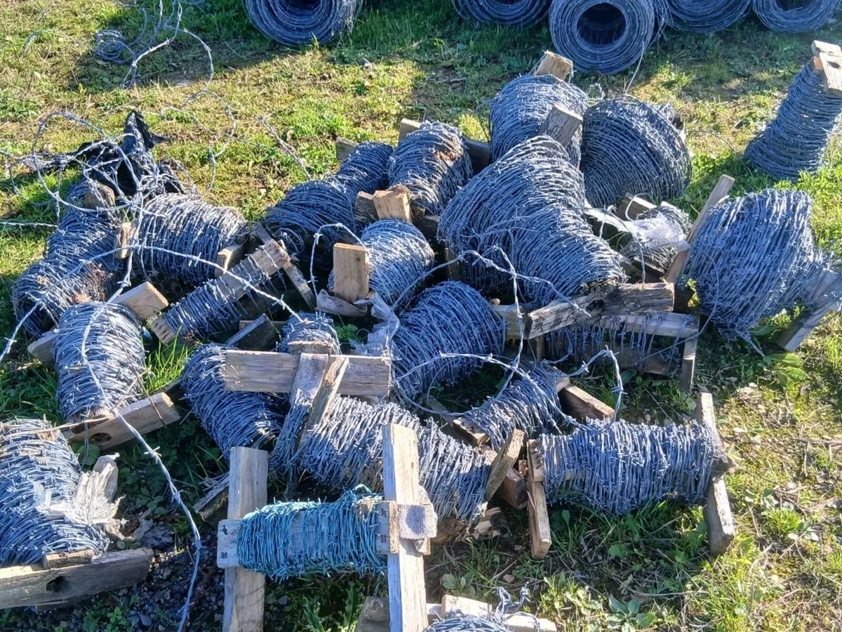 Job lot of barbed wire. - Image 1