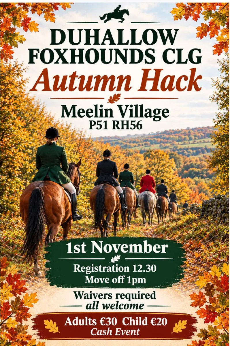 Duhallow Foxhounds CLG Hack