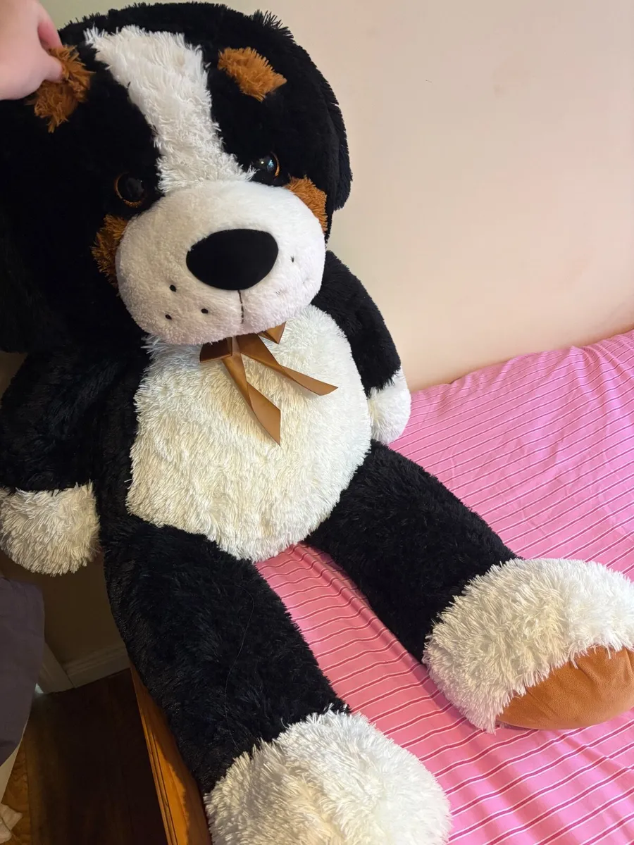 Large Bernese Mountain Dog Teddy - Image 1