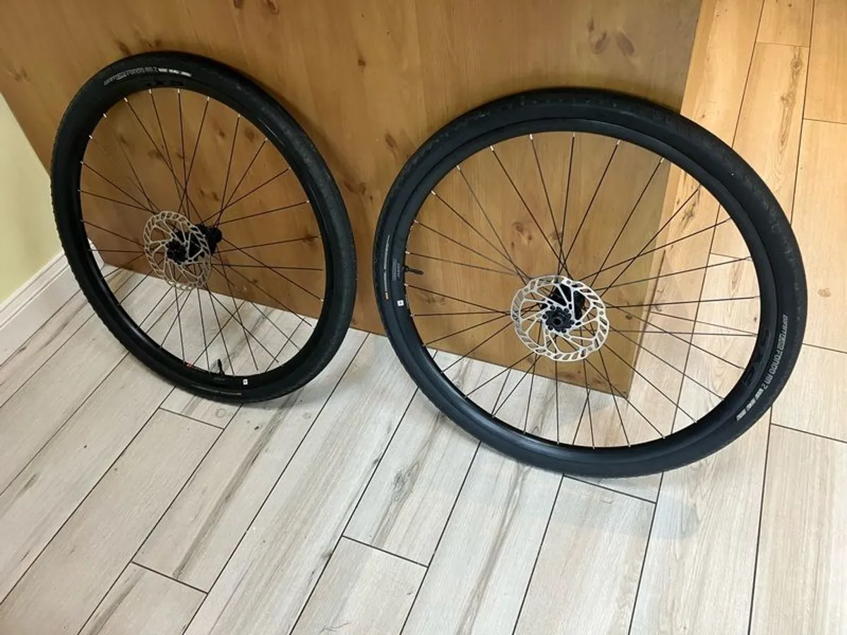 Giant sx2 with tyres and rotors - Image 1