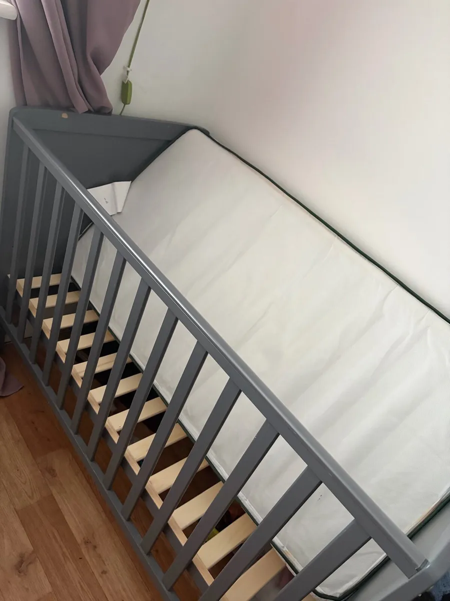 Cot - Image 2