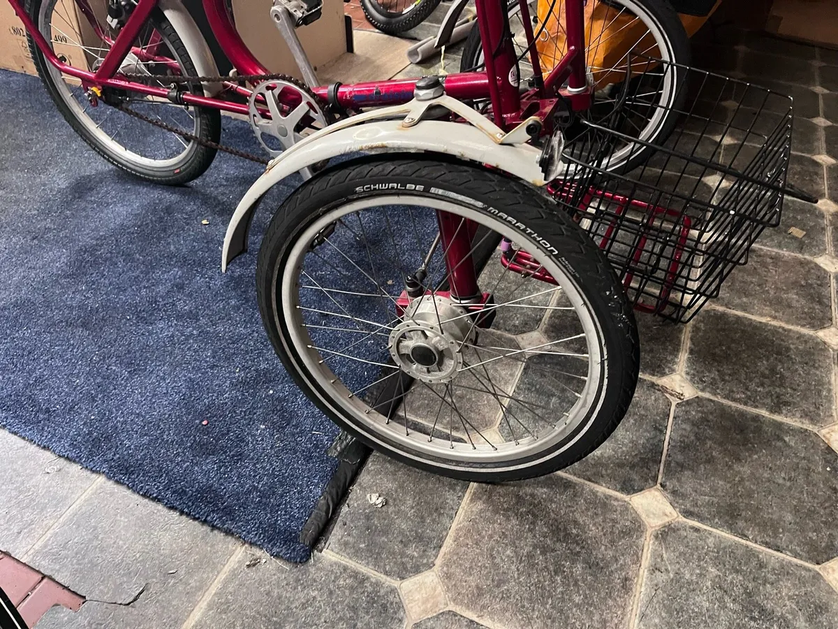 Draisin Adult tricycle - Image 2