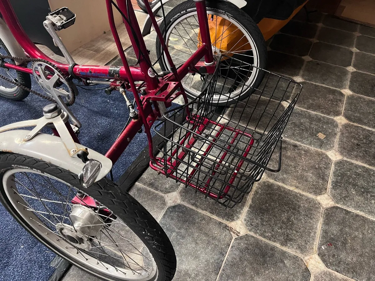 Draisin Adult tricycle - Image 3