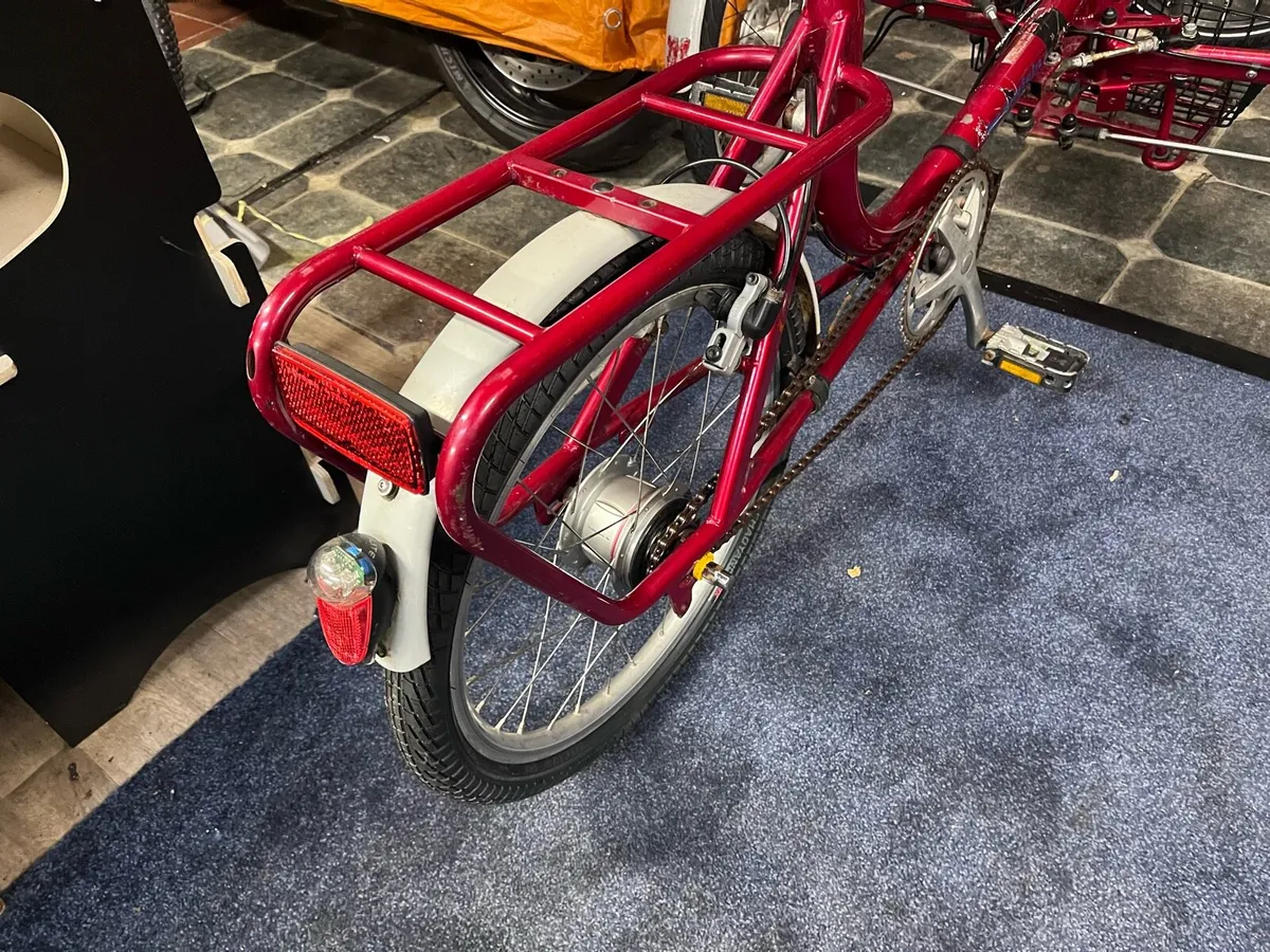 Draisin Adult tricycle - Image 4