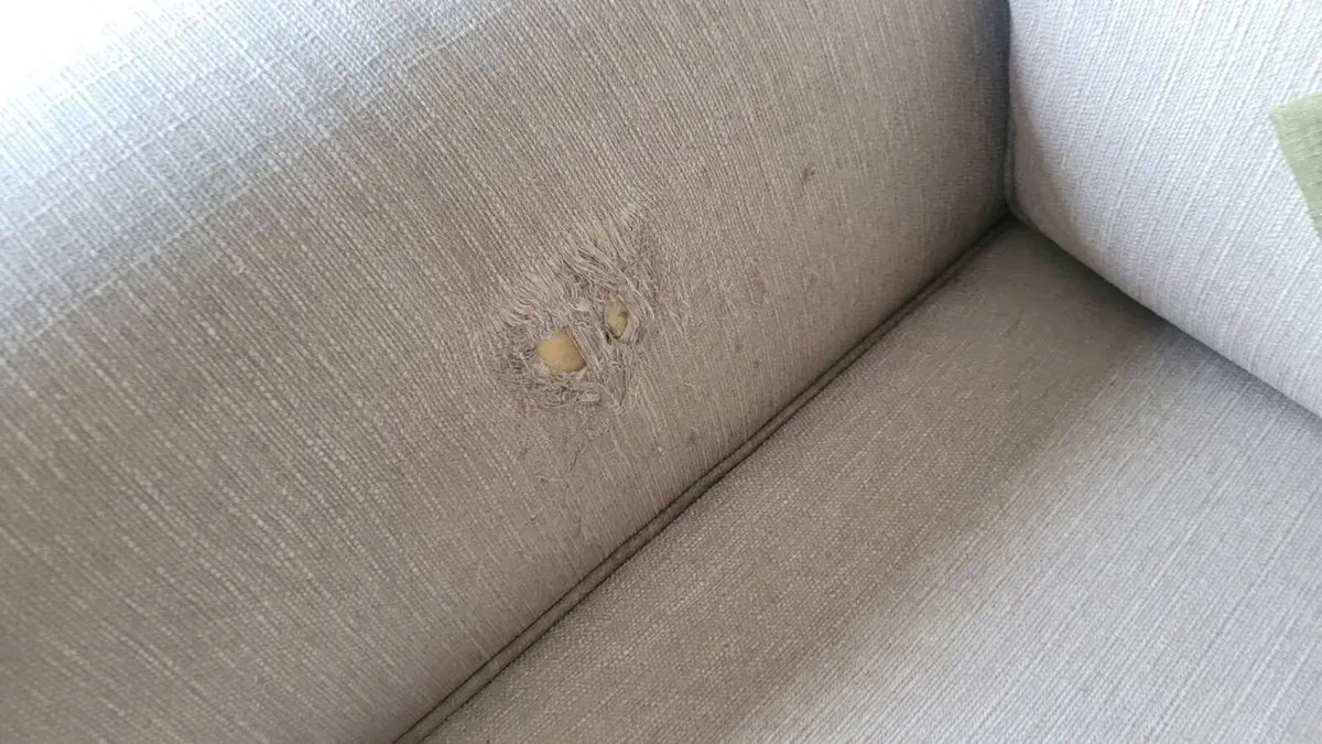 3+2 Beige Sofa - FREE - Image 4