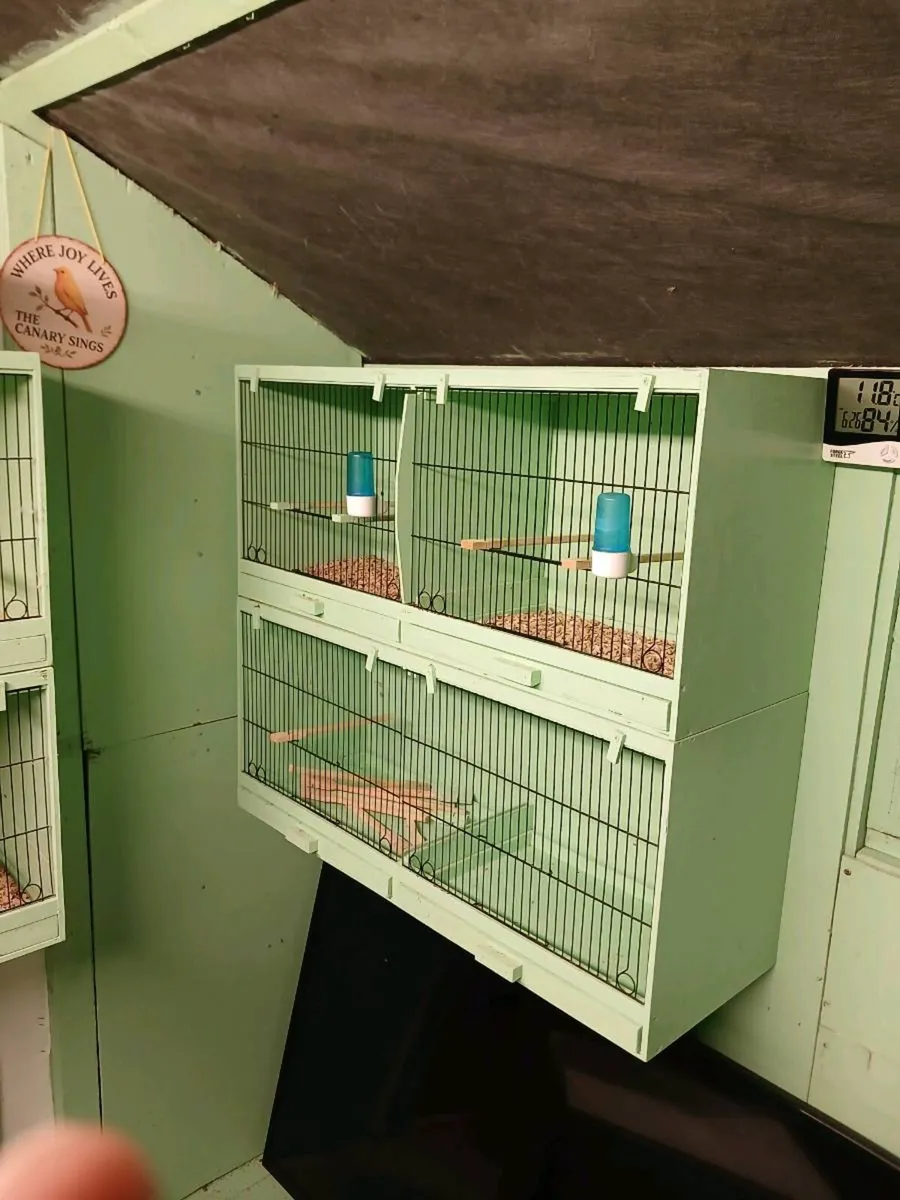 Breeding boxes - Image 1