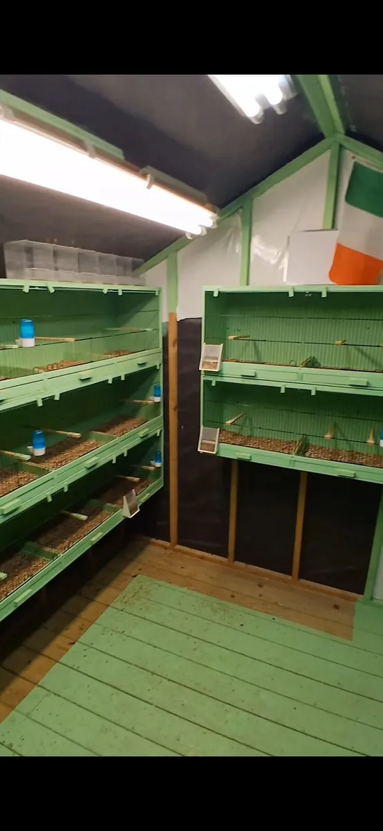 Breeding boxes - Image 2