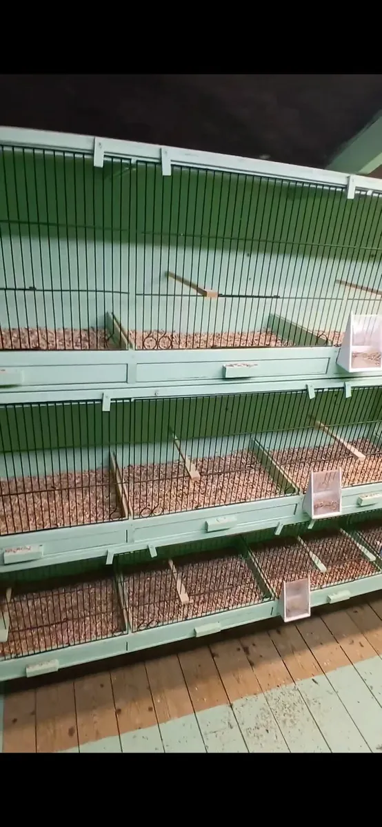 Breeding boxes - Image 3