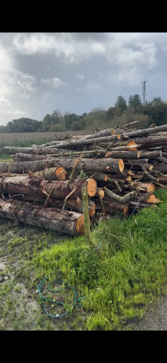 Fire wood - Image 3