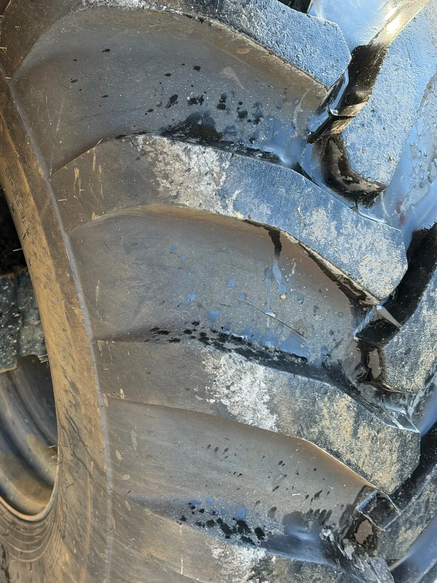 Dumper - Image 2