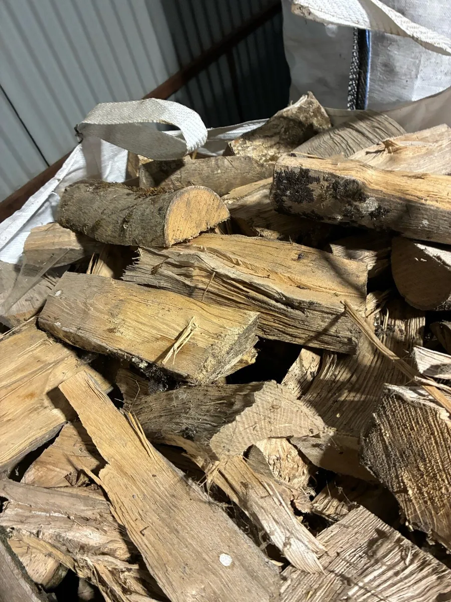 Firewood for sale - Image 2