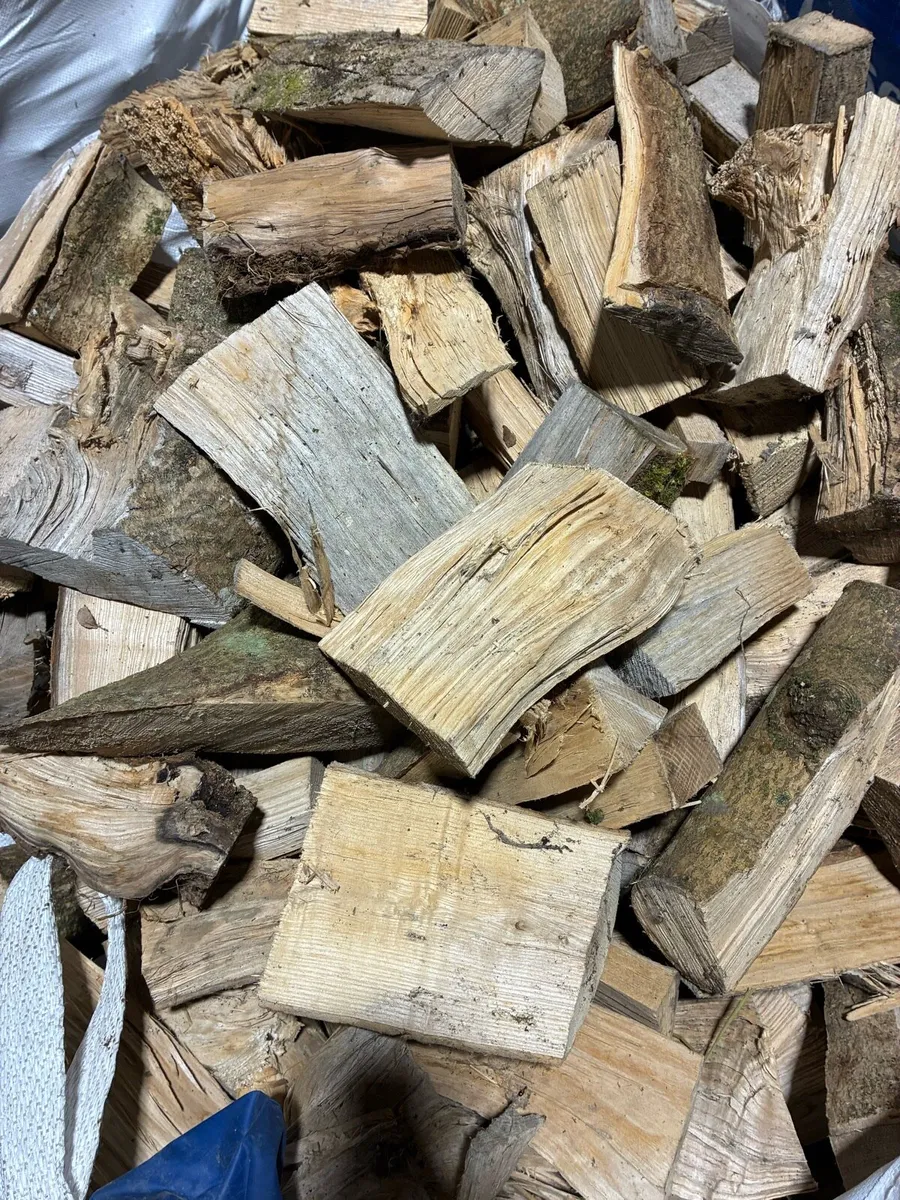 Firewood for sale - Image 3