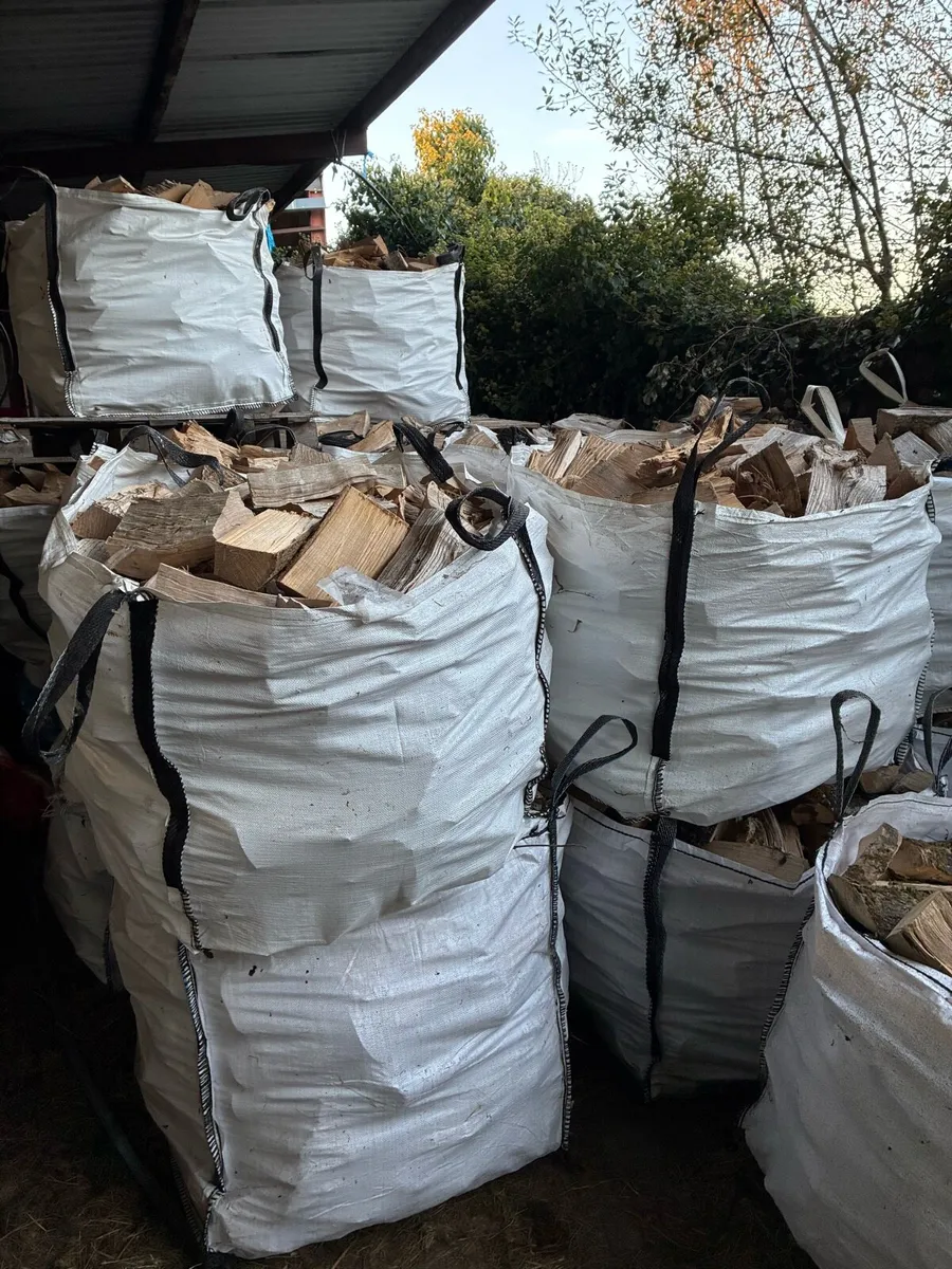 Firewood for sale - Image 4