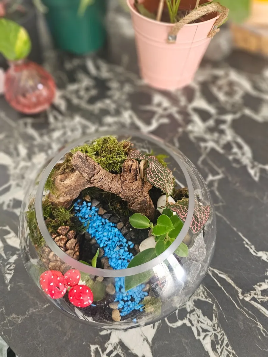 hand made terrarium - Image 1