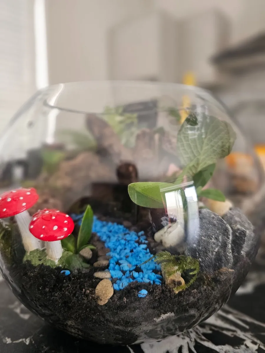 hand made terrarium - Image 2