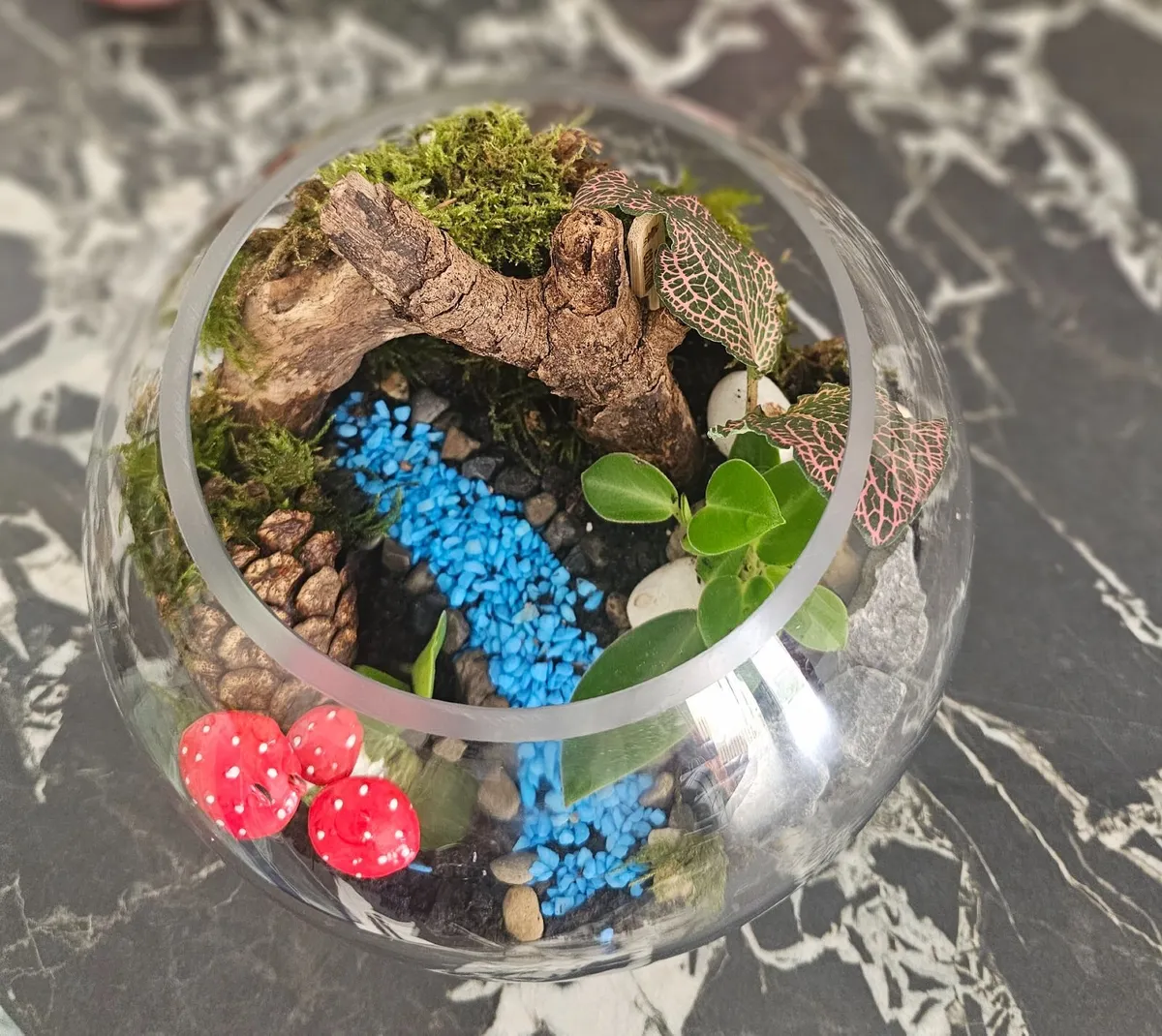 hand made terrarium - Image 3