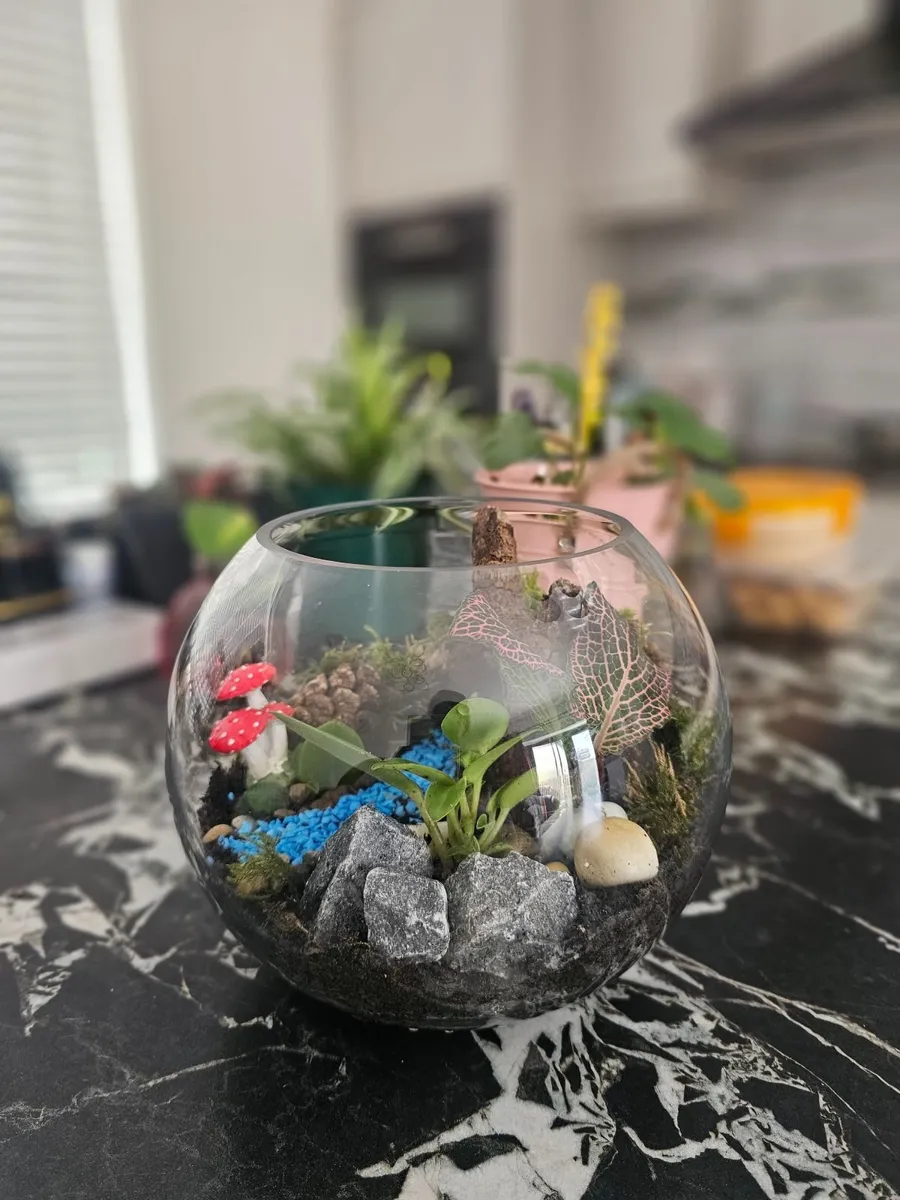 hand made terrarium - Image 4