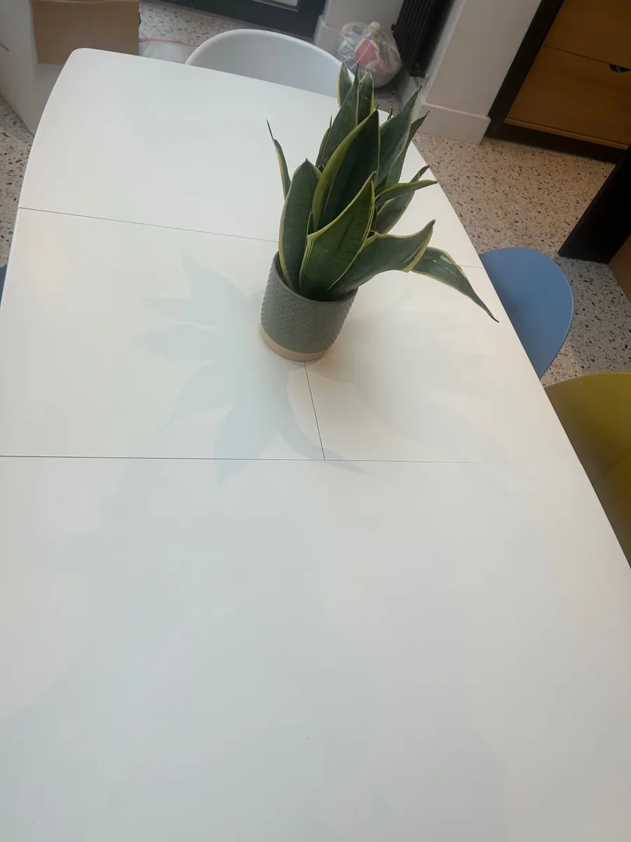 Dining Table and Chairs - Image 2