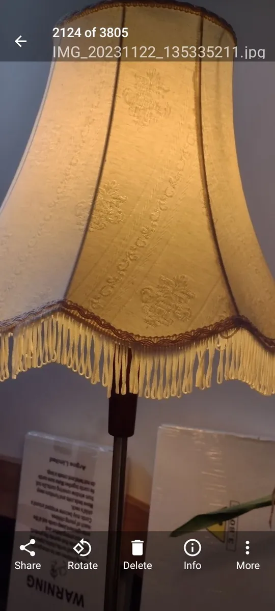 Vintage Lamp shade eith fringe - Image 1