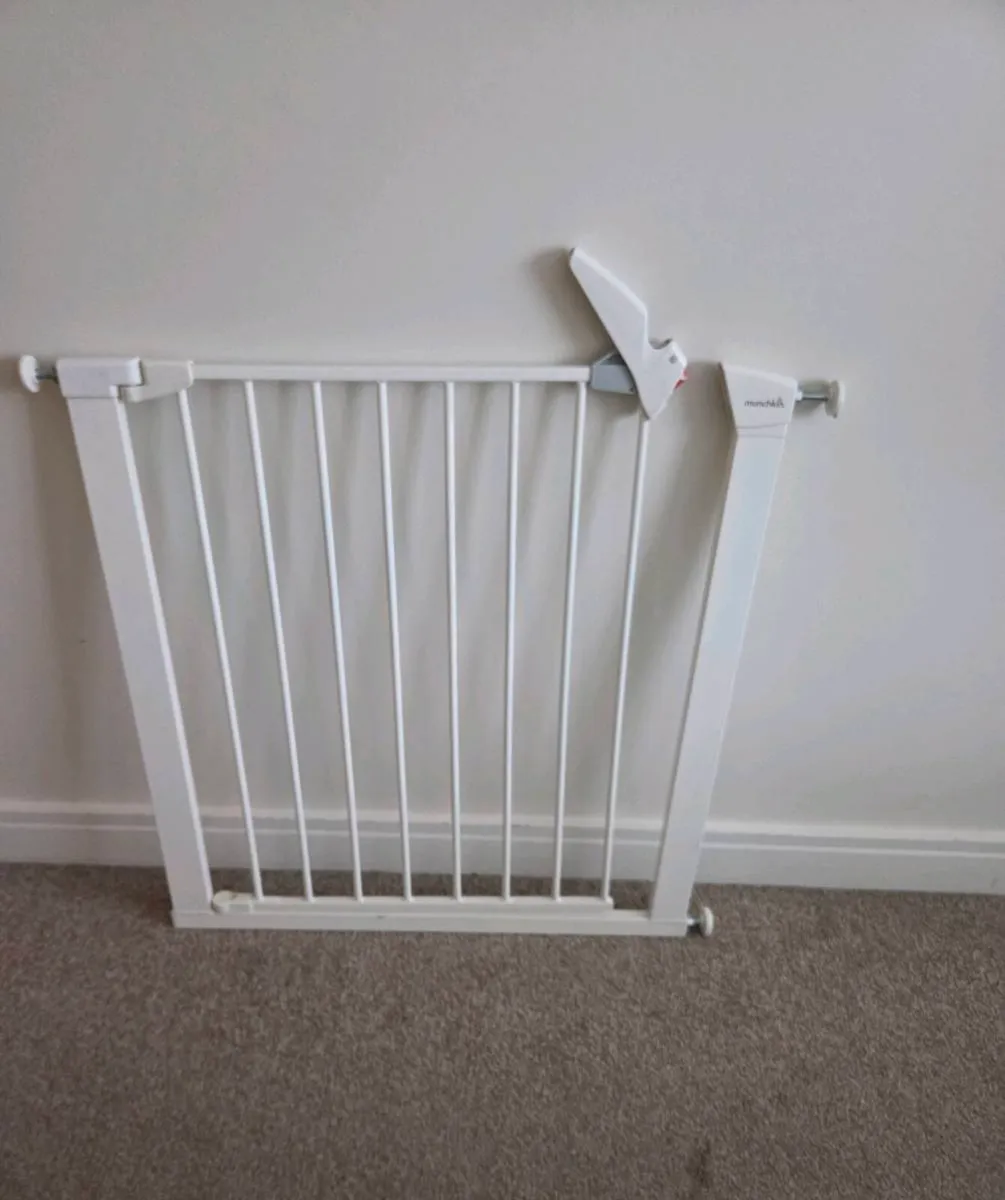 Baby Gate - Image 1