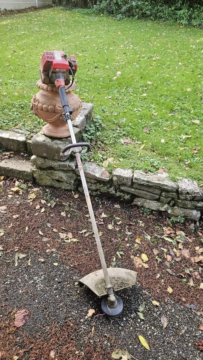 strimmer for sale