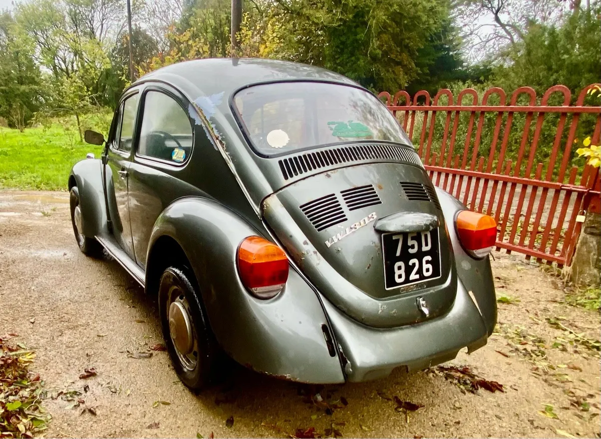 Vw beetle - Image 2