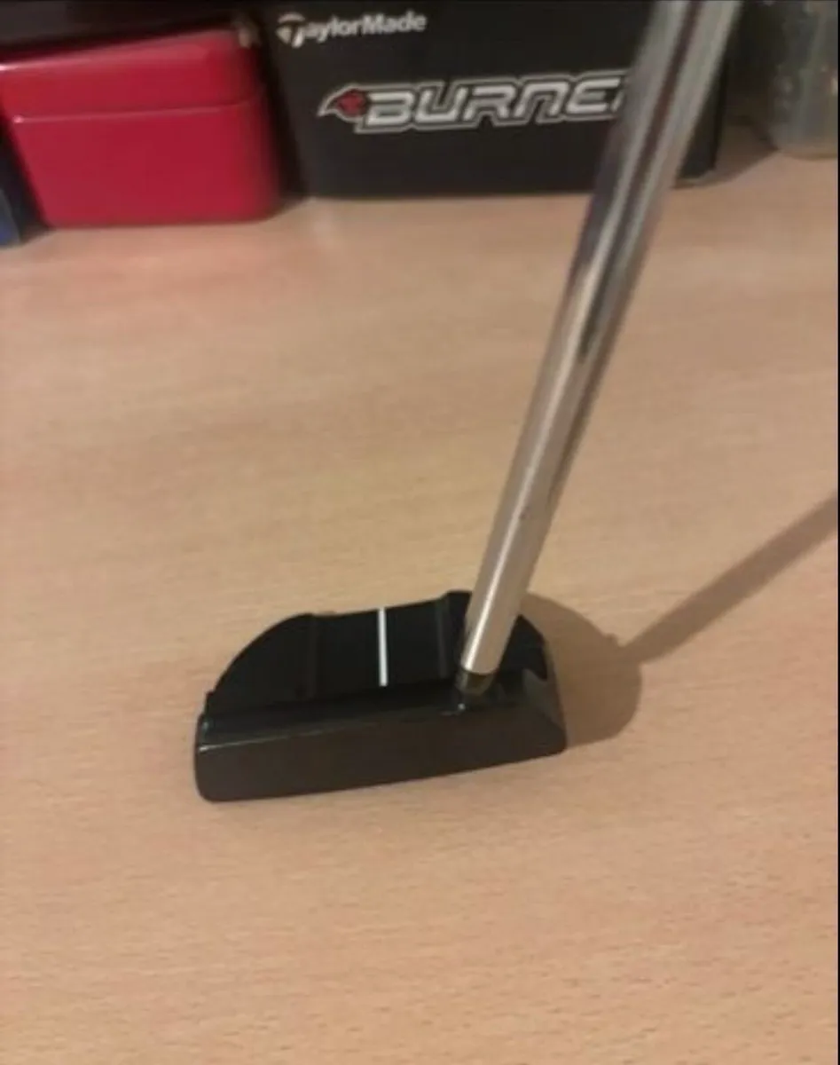 Mizuno Putter - Image 3