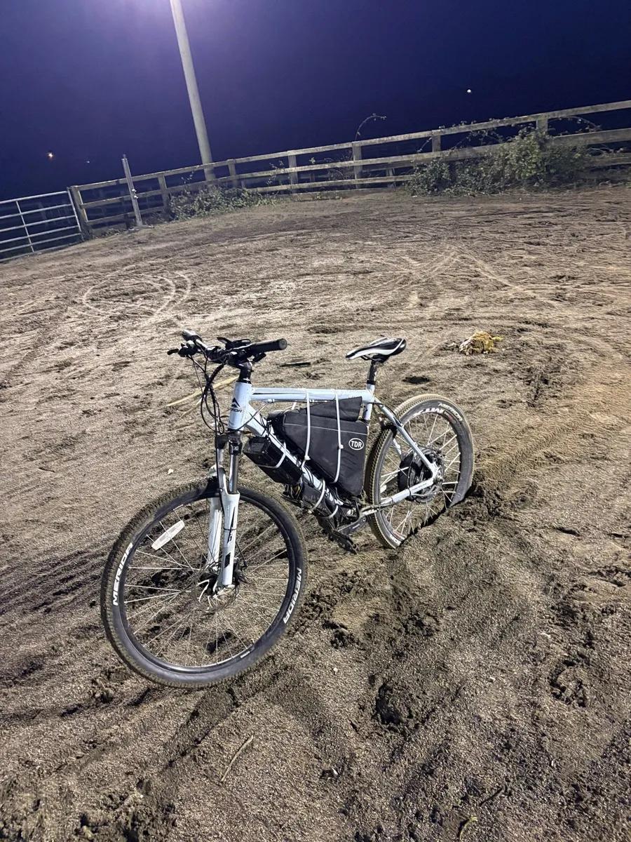 E-bike - Image 1
