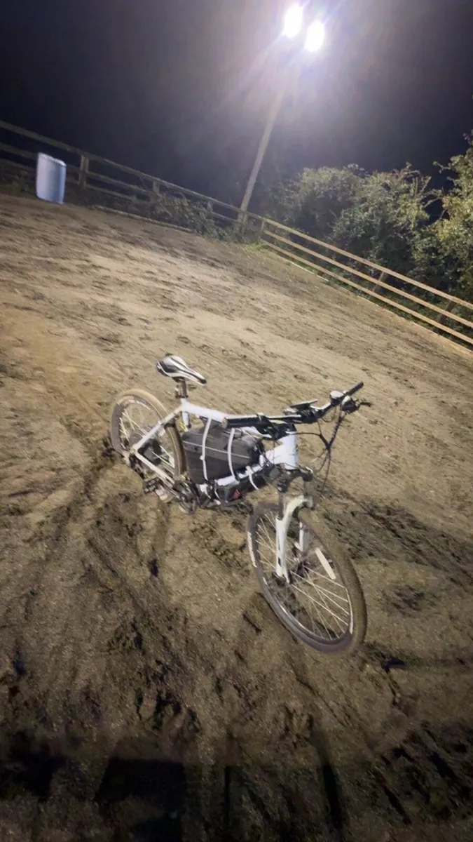 E-bike - Image 3