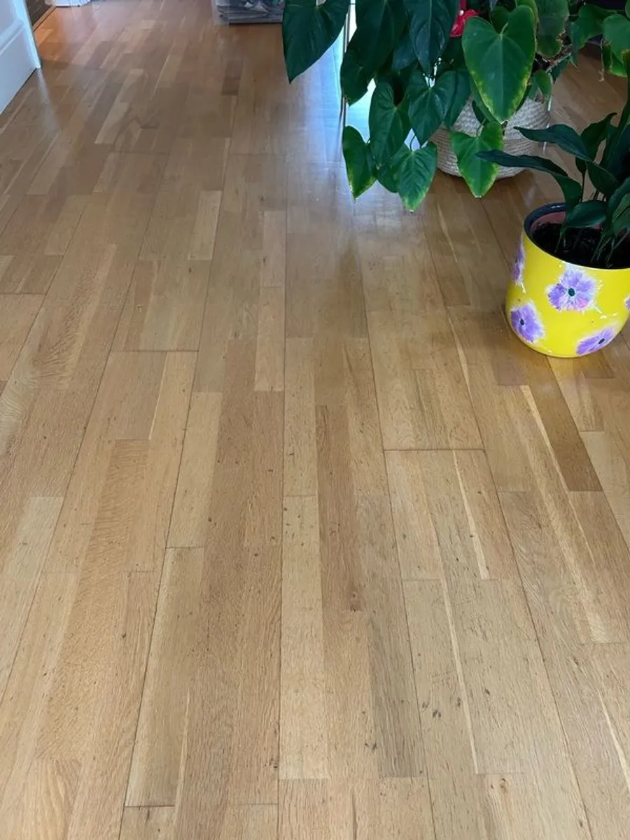 Beech Flooring 55 sq mts