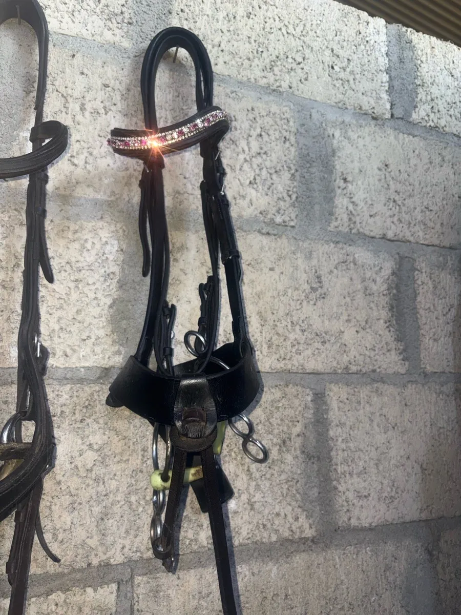 Bridle - Image 1